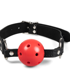 Red Ball Gag