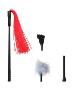 Whip & Paddle & Feather Tickler Kit